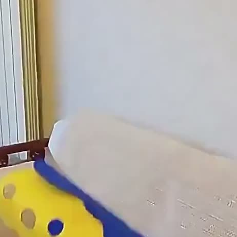 Foldable Cat Tunnel Collapsible Space Saving Playground Cats