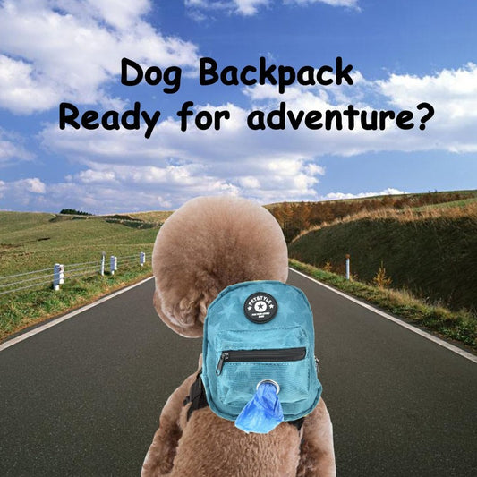 Dog Backpack Harness Adjustable Straps Poop Bag Dispenser