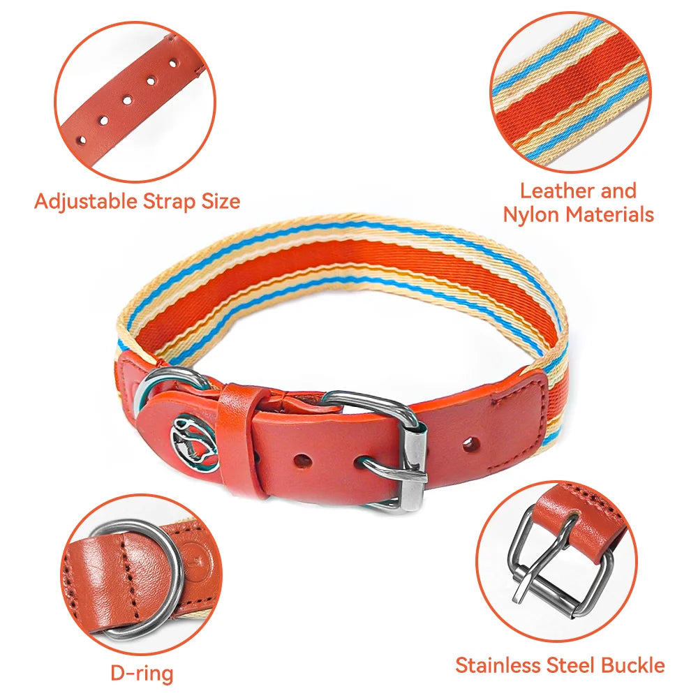 Adjustable Dog Collar and Leash Set for Small Medium Large Dogs