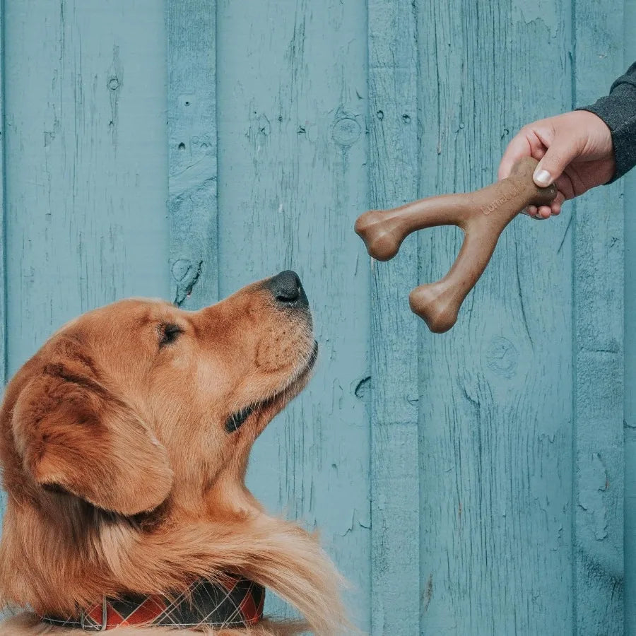 Real Bacon Dog Chew Toys For Aggressive Chewers Made In USA