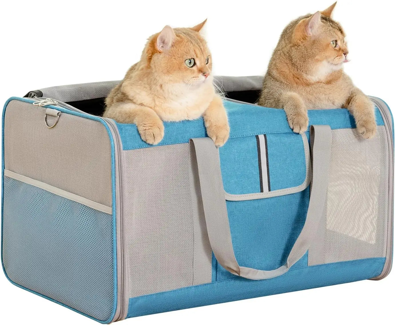 Large Cat Pet Carrier for Cat and Dog with Great Ventilation and Easy Mobility