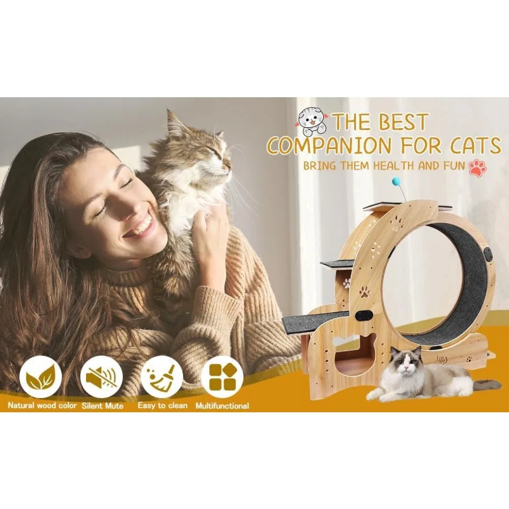Upgraded 6-in-1 Cat Exercise Wheel Large Silent Treadmill for Indoor Cats