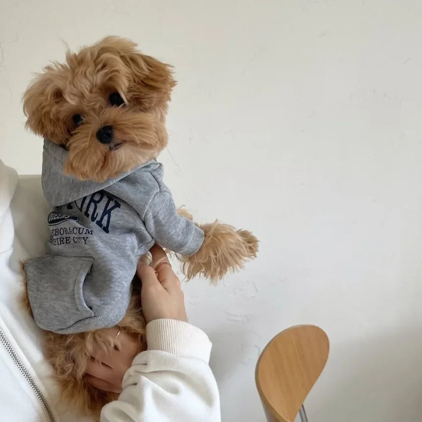 Autumn Winter Dog Sweatshirts With Teddy Letter Print Fleece Hoodies