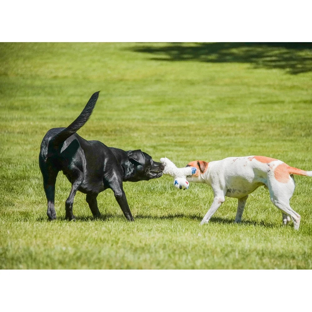 Lamb Chop Plush Dog Toy 12 Inch Squeaker Blue Plaid Ears Ideal Fetch