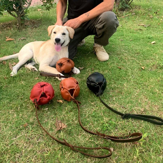 Leather Dog Training Ball Toy with Handle for Fetch Play and Tug