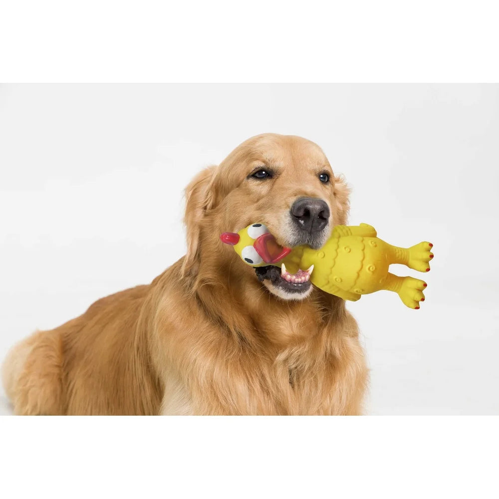 Screaming Chicken Dog Toy Durable Latex Chew Level 2 Indoor Fetch Toy