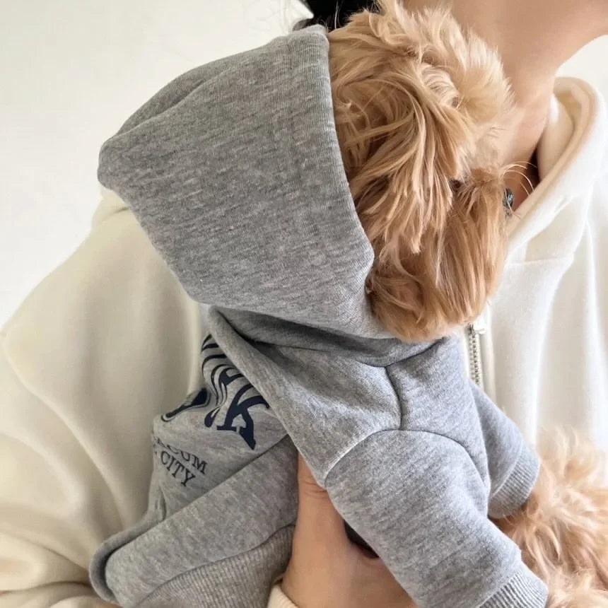Autumn Winter Dog Sweatshirts With Teddy Letter Print Fleece Hoodies
