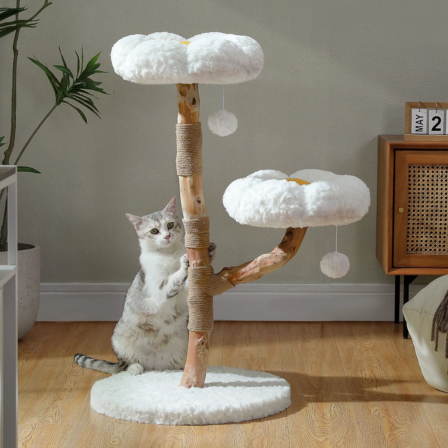 Solid Wood Cat Tree Modern Tower With Spacious Condo