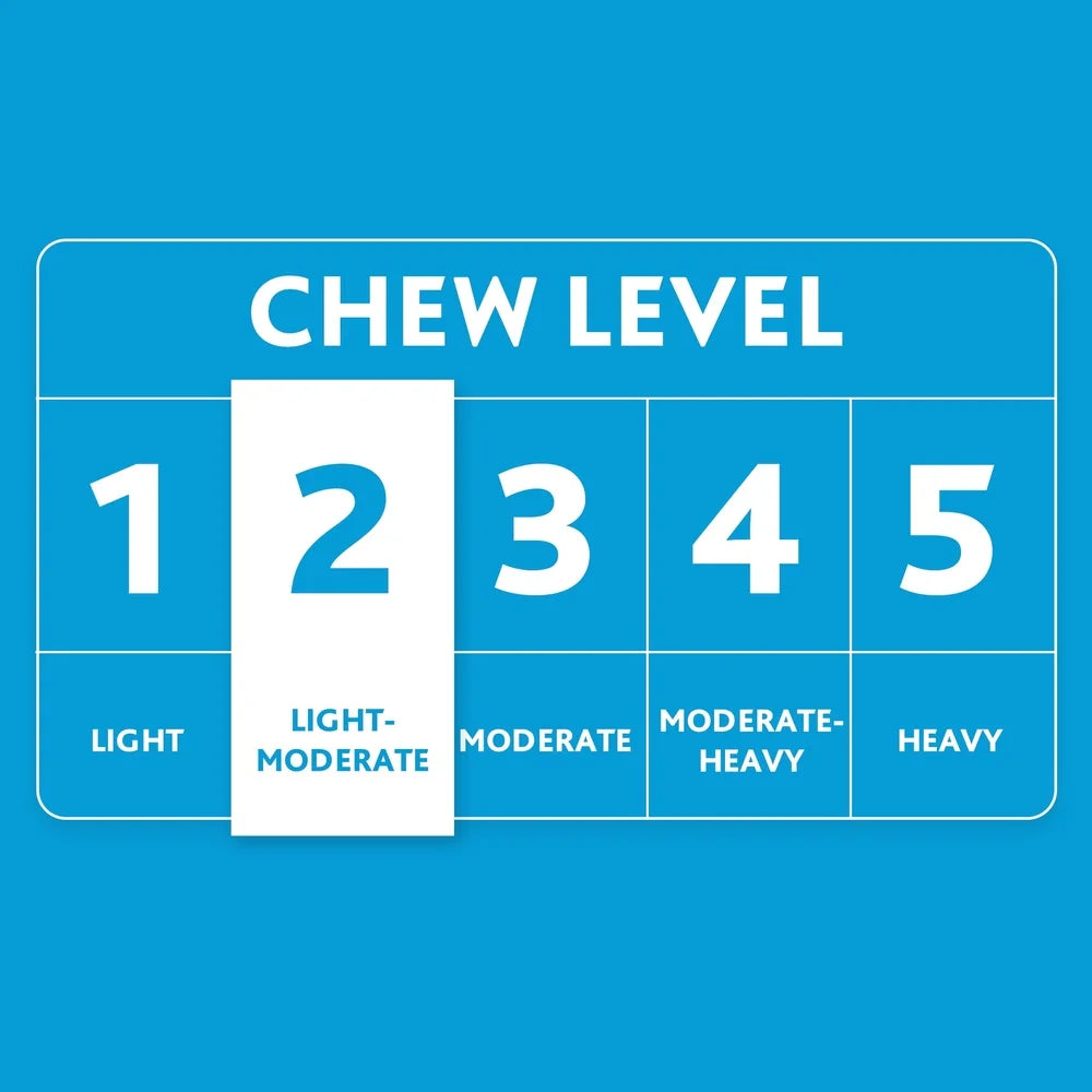 Three Pack Hedgehog Plush Dog Toys Squeaky Washable For Light Chewers