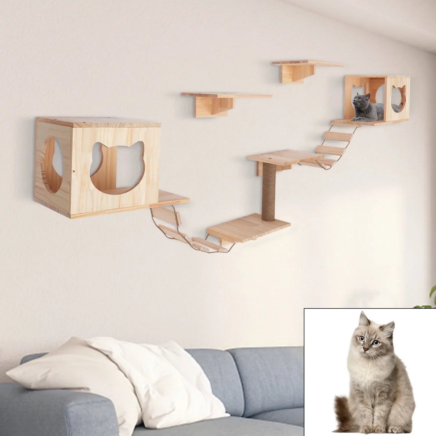 Wall Mounted Cat Tree Furniture Set with Shelves Ladders and Cat House for Indoor Climbing