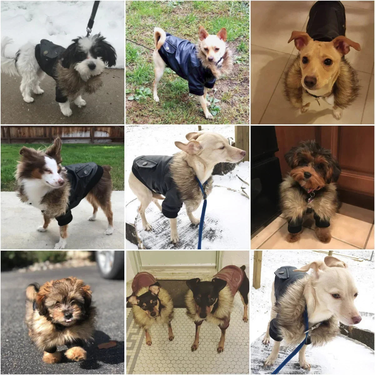 Waterproof PU Dog Winter Coat With Faux Leather Jacket