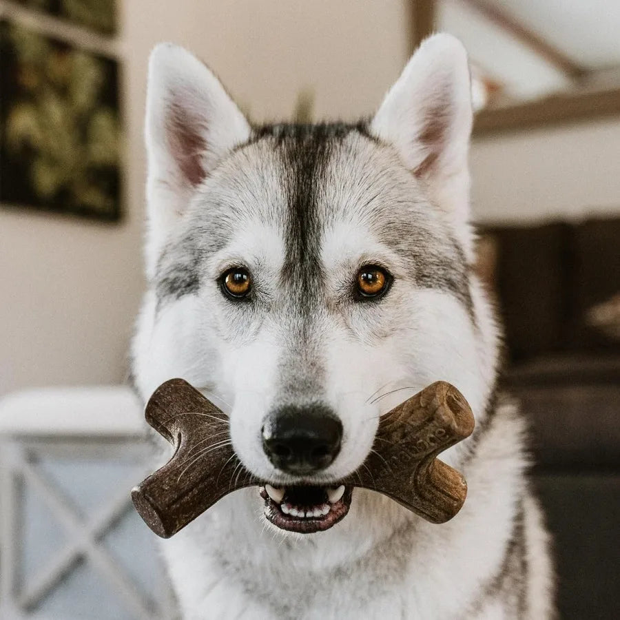 Real Bacon Dog Chew Toys For Aggressive Chewers Made In USA