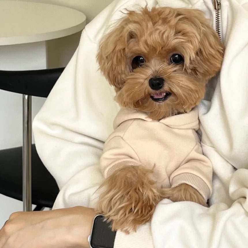 Autumn Winter Dog Sweatshirts With Teddy Letter Print Fleece Hoodies