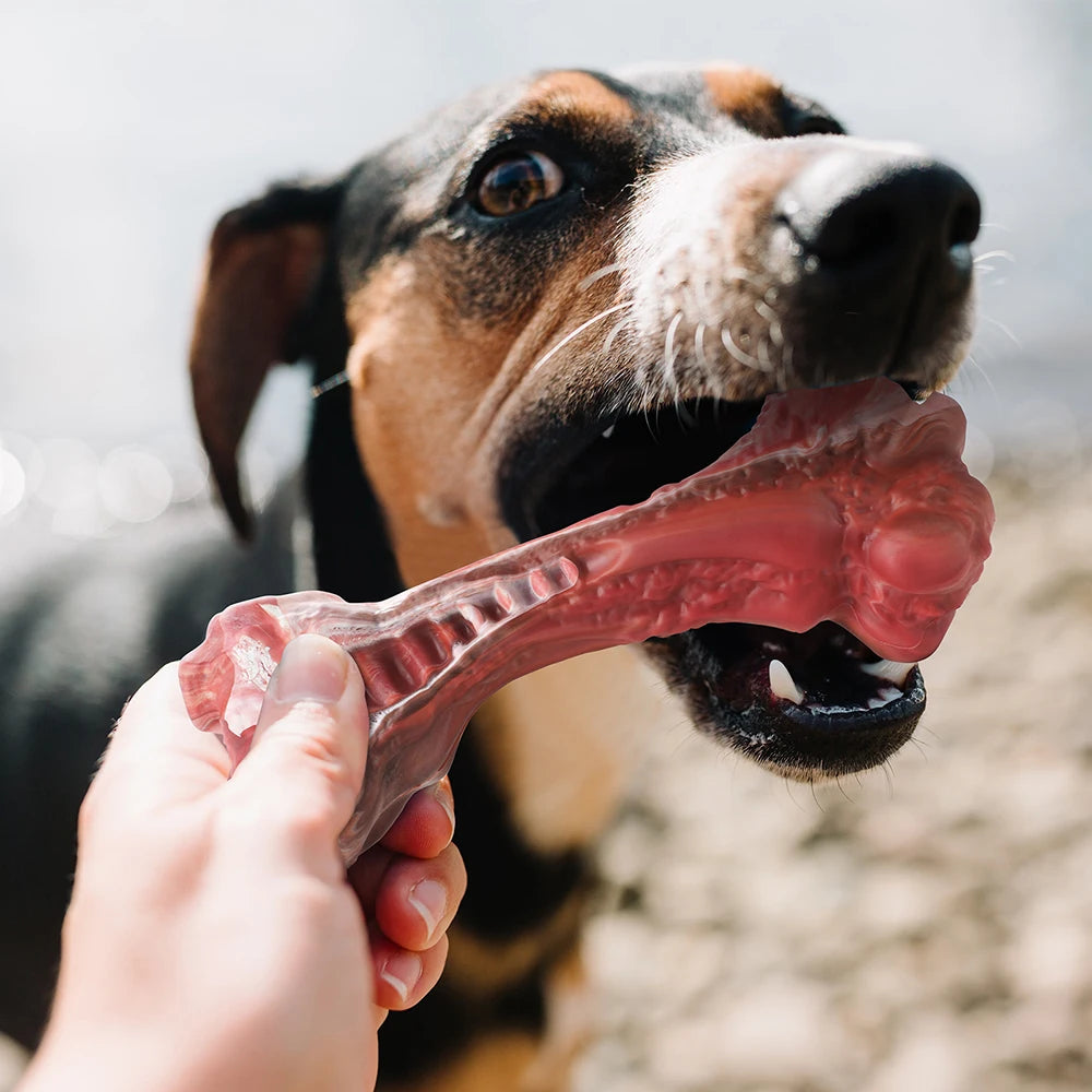 Masbrill Indestructible Dog Toys for Aggressive Chewers Bone-Shaped Nylon Chew Toys