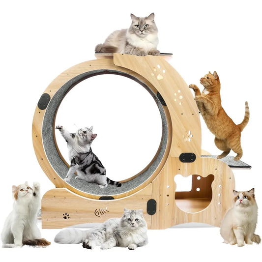 Upgraded 6-in-1 Cat Exercise Wheel Large Silent Treadmill for Indoor Cats