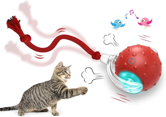 Interactive Cat Toy Ball for Indoor Cats Rolls Quickly and Chirps on Carpet Red