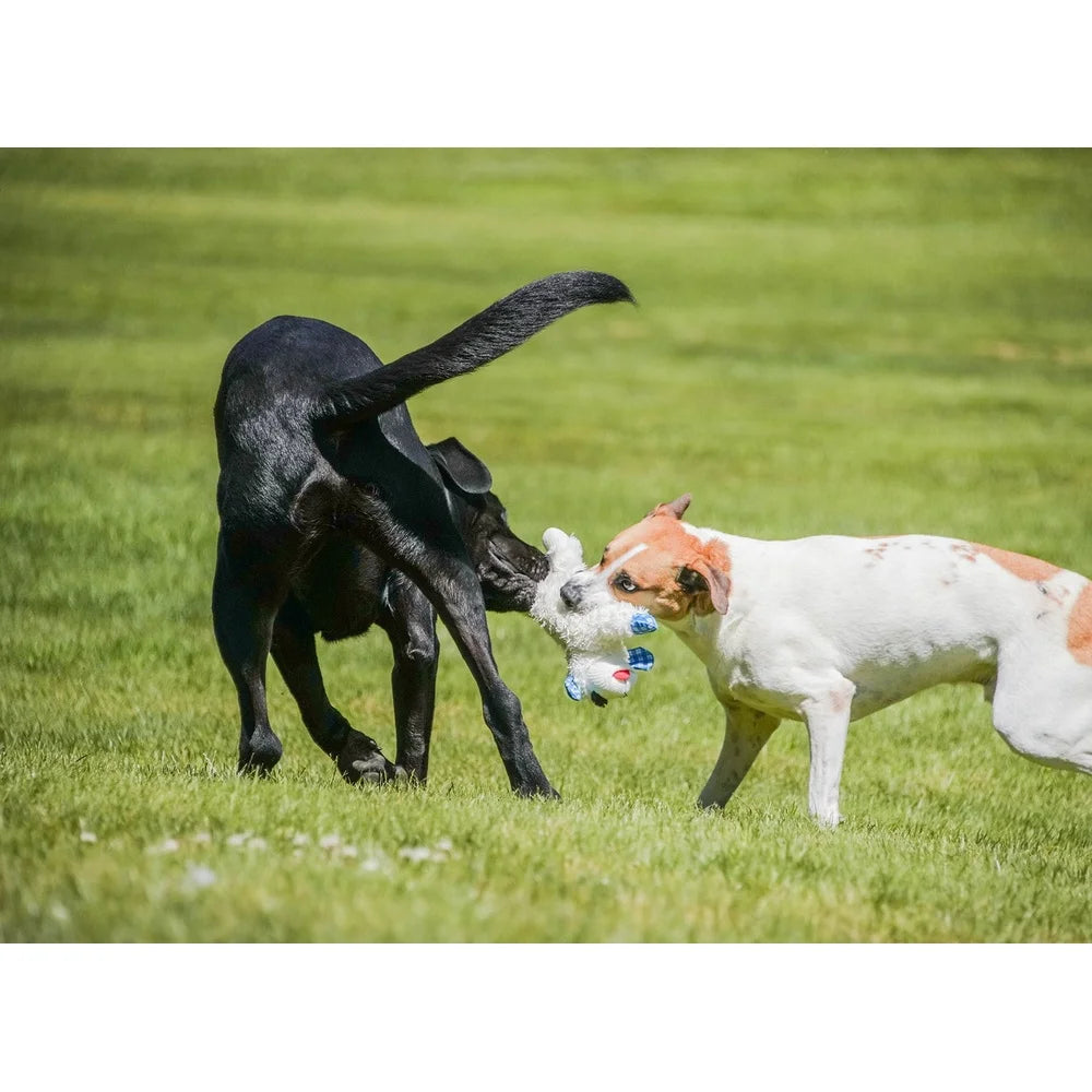 Lamb Chop Plush Dog Toy 12 Inch Squeaker Blue Plaid Ears Ideal Fetch