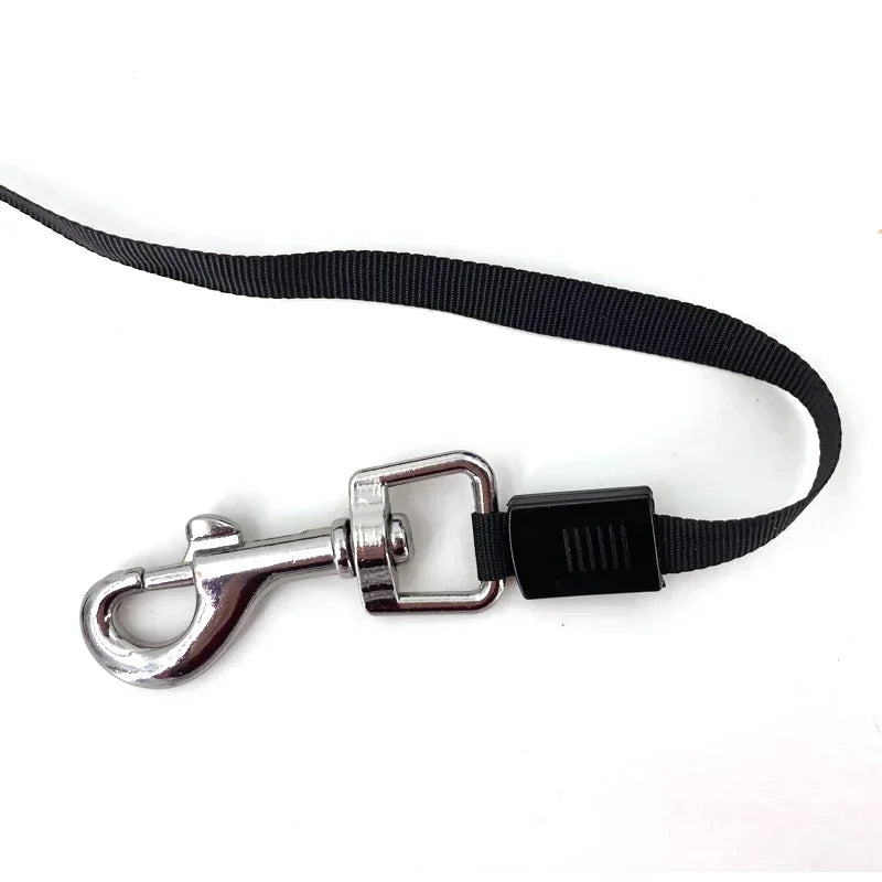 3M 5M Retractable Dog Leash For Small And Medium Dogs