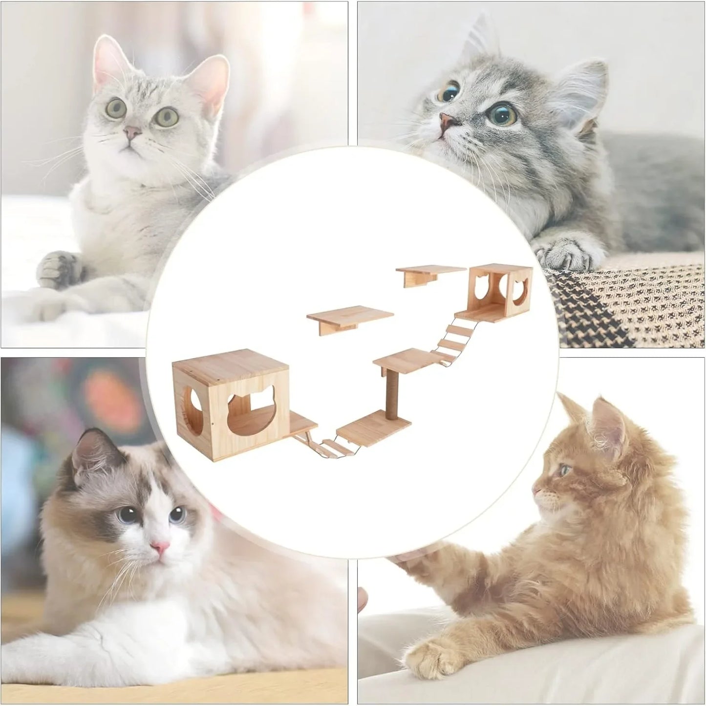 Wall Mounted Cat Tree Furniture Set with Shelves Ladders and Cat House for Indoor Climbing