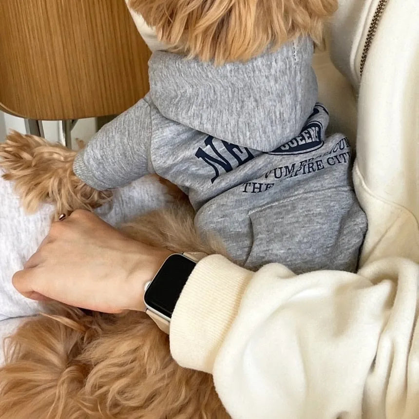 Autumn Winter Dog Sweatshirts With Teddy Letter Print Fleece Hoodies