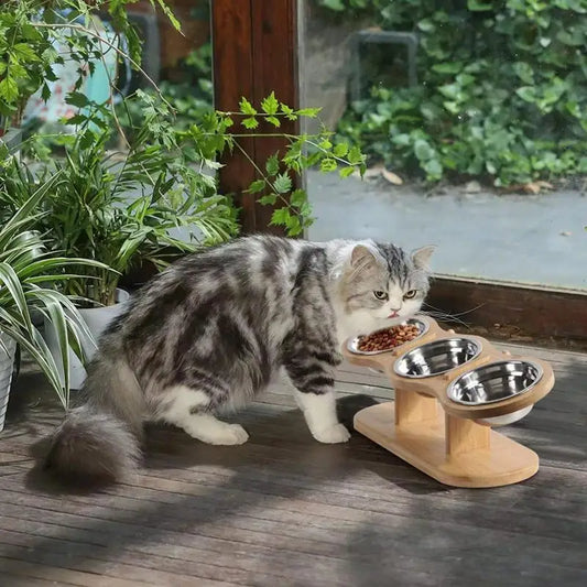 Elevated Cat Bowls With 3 Stainless Steel Bowls For Food And Water