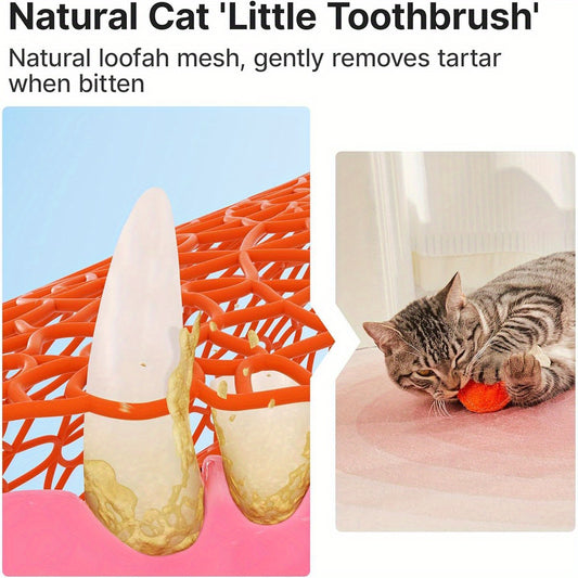 Potaroma Loofah Cat Chew Toys With Natural Herbs Silvervine