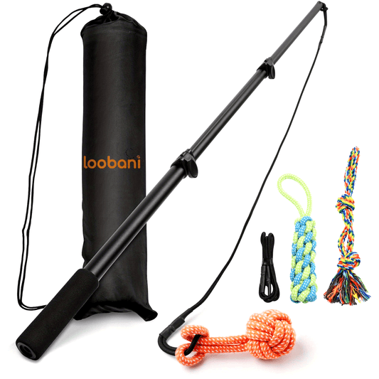 Loobani Dog Flirt Pole With Detachable Toys 40 Inch