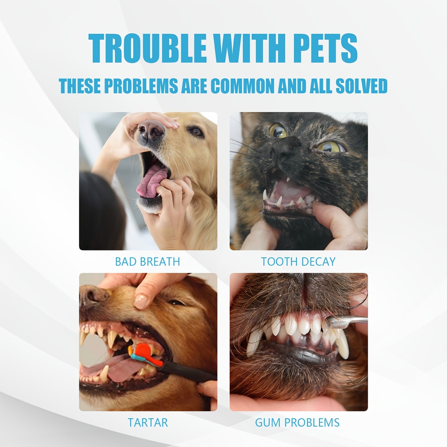 Three Piece Pack Pet Oral Care And Cleaning Kit With Gentle Stain Removal