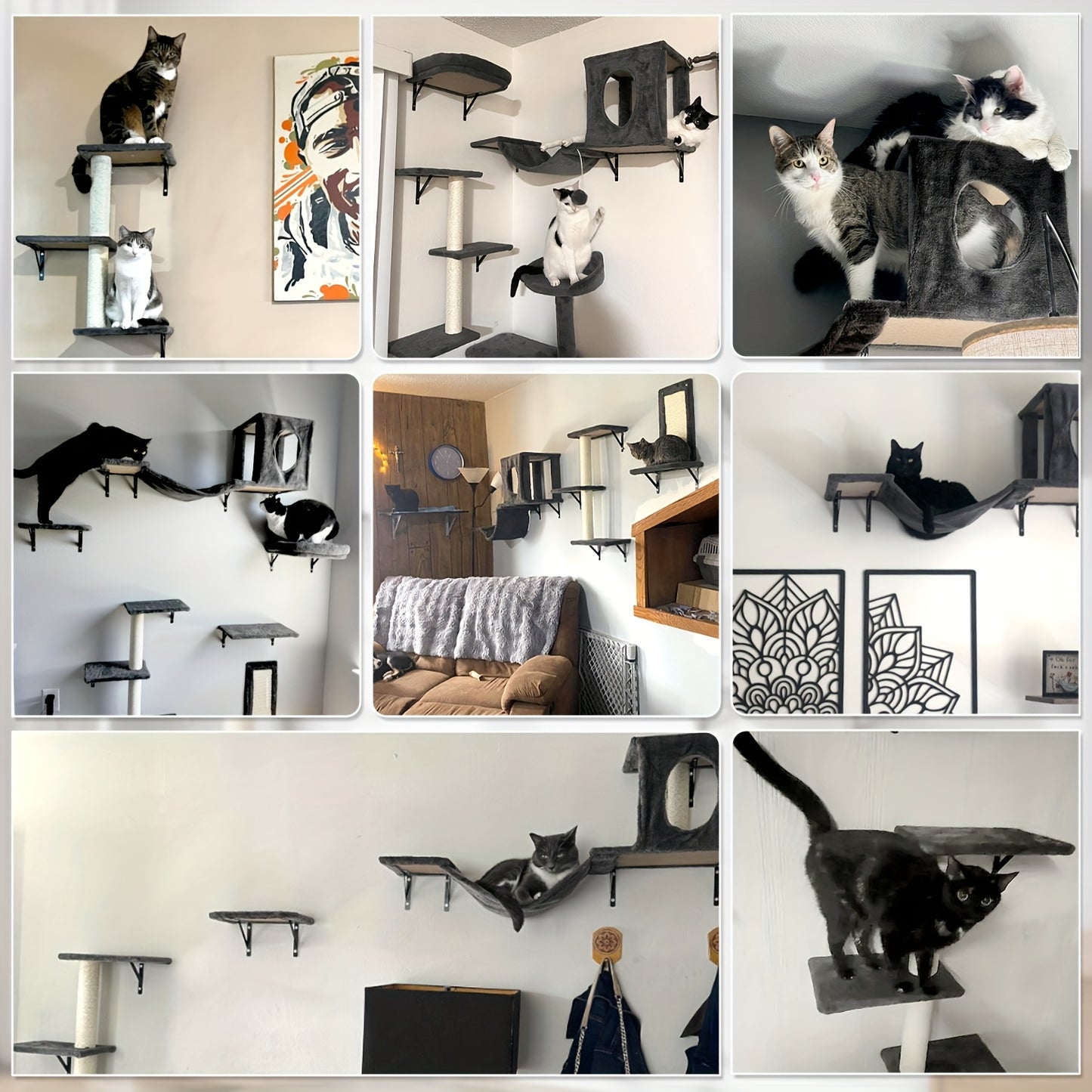 Deluxe 6pcs Wall-Mounted Cat Climbing Shelf Multi-Level Cat Tree with Condo and Scratching Post